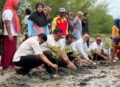 Ketua Gerindra Sumut Lakukan Penanaman Manggrove bersama Ormas Tani dan Nelayan