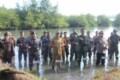 TNI AL Nias Bersama Forkopimda Nisel Ikuti Penanaman Mangrove Nasional Secara Serentak