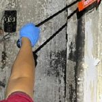 IMG-20260108-WA0058_copy_500x225