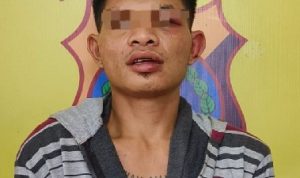 IMG-20260112-WA0014_copy_500x225