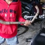 IMG-20260112-WA0016_copy_500x225