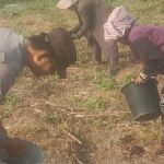 IMG-20260113-WA0068_copy_500x225