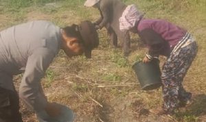 IMG-20260113-WA0068_copy_500x225